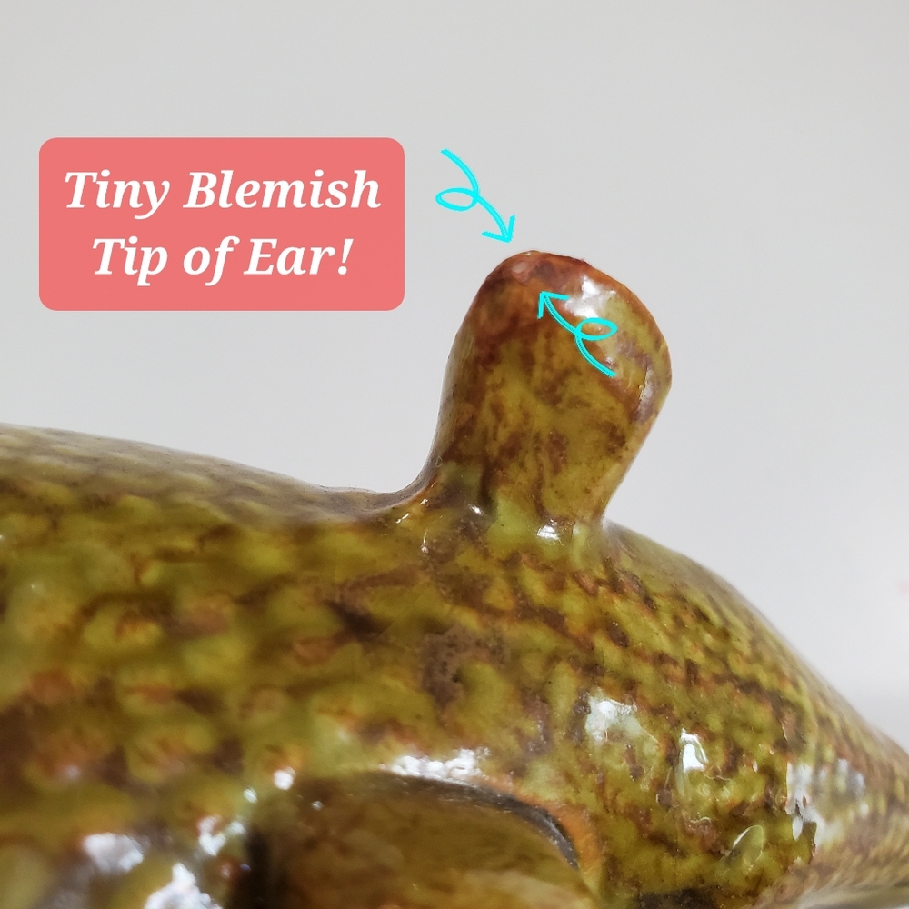 Ceramic Armadillo Figure 8.5L x 4.5H x 3.5"W 1996 No Cracks! Gag Gift! Unique! - Picture 14 of 15